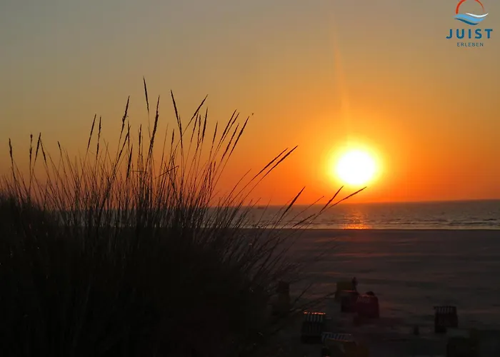 Haus Petra 131 - 1 Appartement